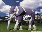 milka