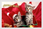 noël
